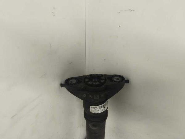 AMORTISSEUR ARRIERE DS/PEUGEOT - Vue 2